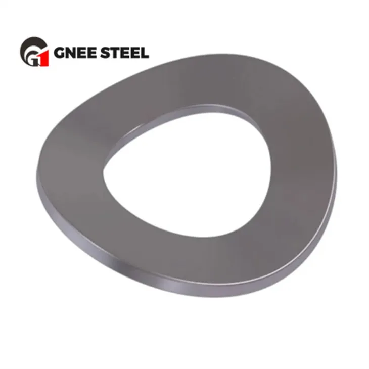 DIN137 Steel Wave Washers