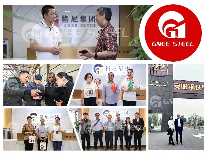 Gnee Customer visit Gnee Customer visit