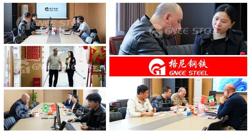 Gnee Customer visit Gnee Customer visit