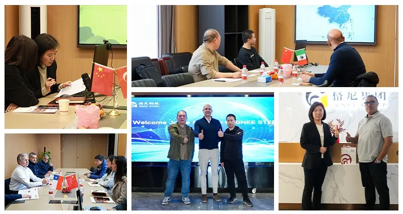 Gnee Customer visit Gnee Customer visit