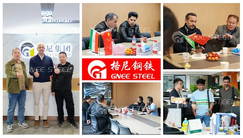 Gnee Customer visit Gnee Customer visit