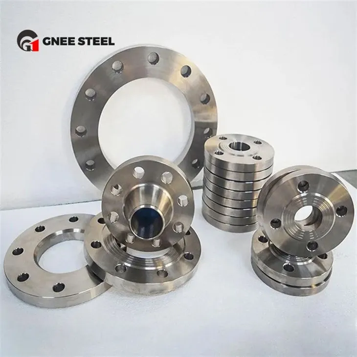 Stainless Steel 316 316L 316Ti Flanges