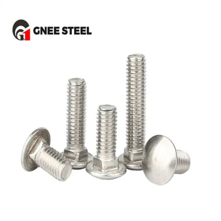 Stainless Steel SS304 SS316 Carriage Bolts